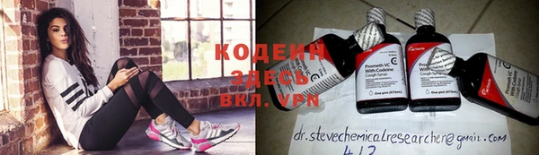 прущие грибы Бронницы