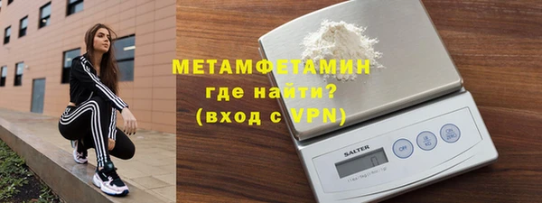 прущие грибы Бронницы