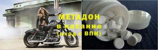 прущие грибы Бронницы