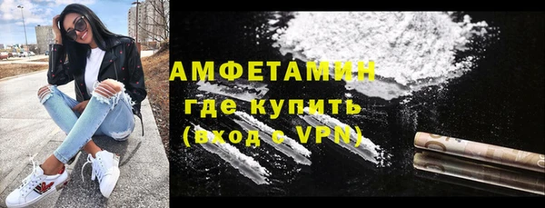 прущие грибы Бронницы