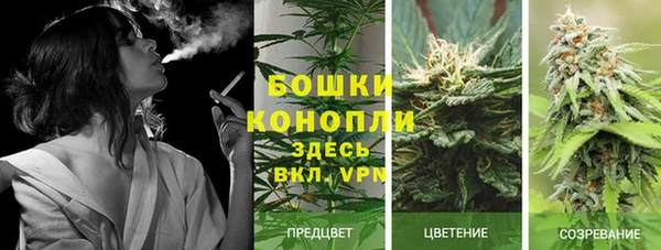 Альфа ПВП Бугульма