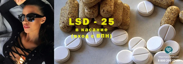 прущие грибы Бронницы