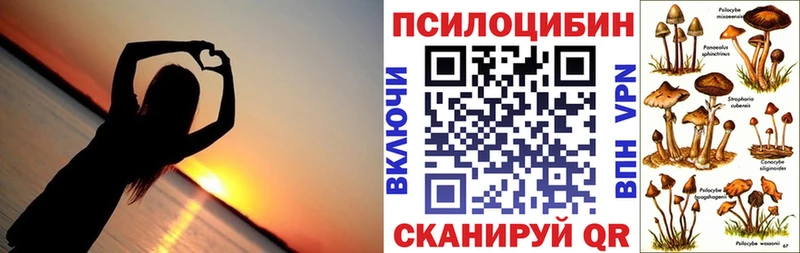 что такое   Кемерово  Псилоцибиновые грибы прущие грибы 